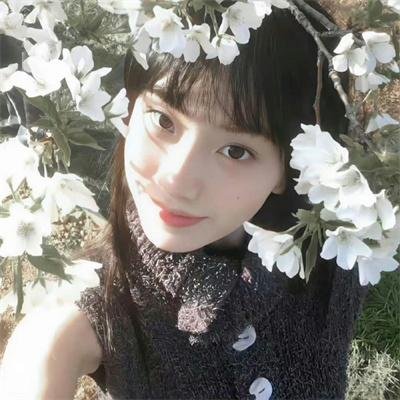 梅子鸡之味